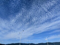 秋の空　ウロコ雲