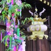 京の七夕　2019