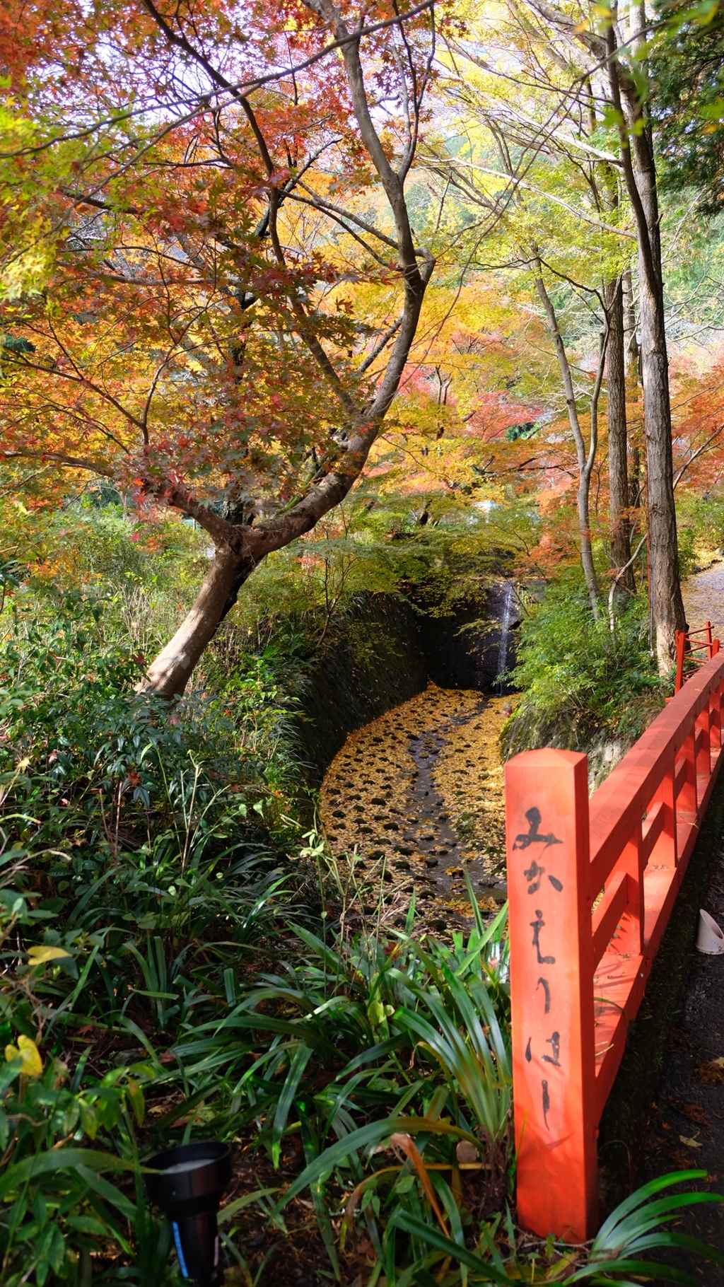 2017_1111_神蔵寺