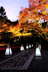 神蔵寺　ライトアップ