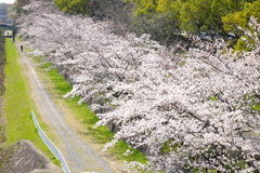 小畑川