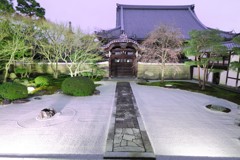 京都妙満寺ライトアップ2019春