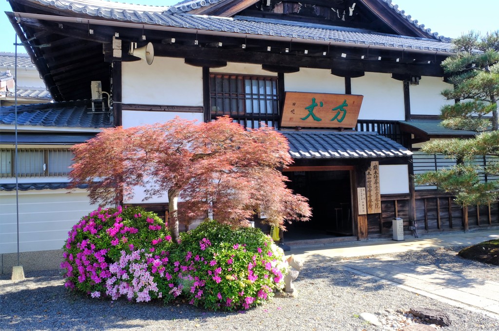 妙満寺　躑躅