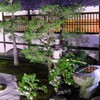 妙顕寺　ライトアップ