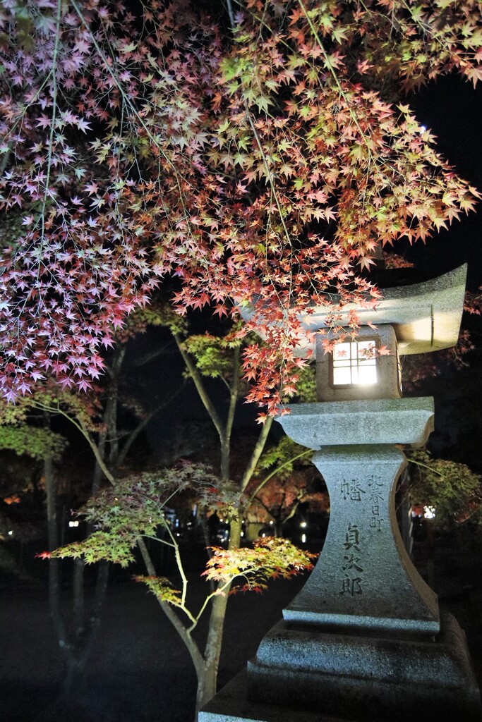 大原野神社　紅葉