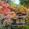 寂光院　紅葉