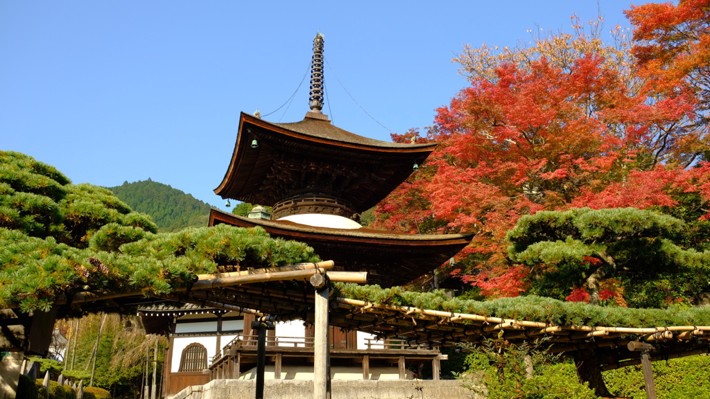 2017_1103　善峰寺