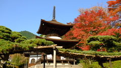 2017_1103　善峰寺