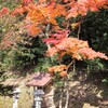 西光寺　紅葉