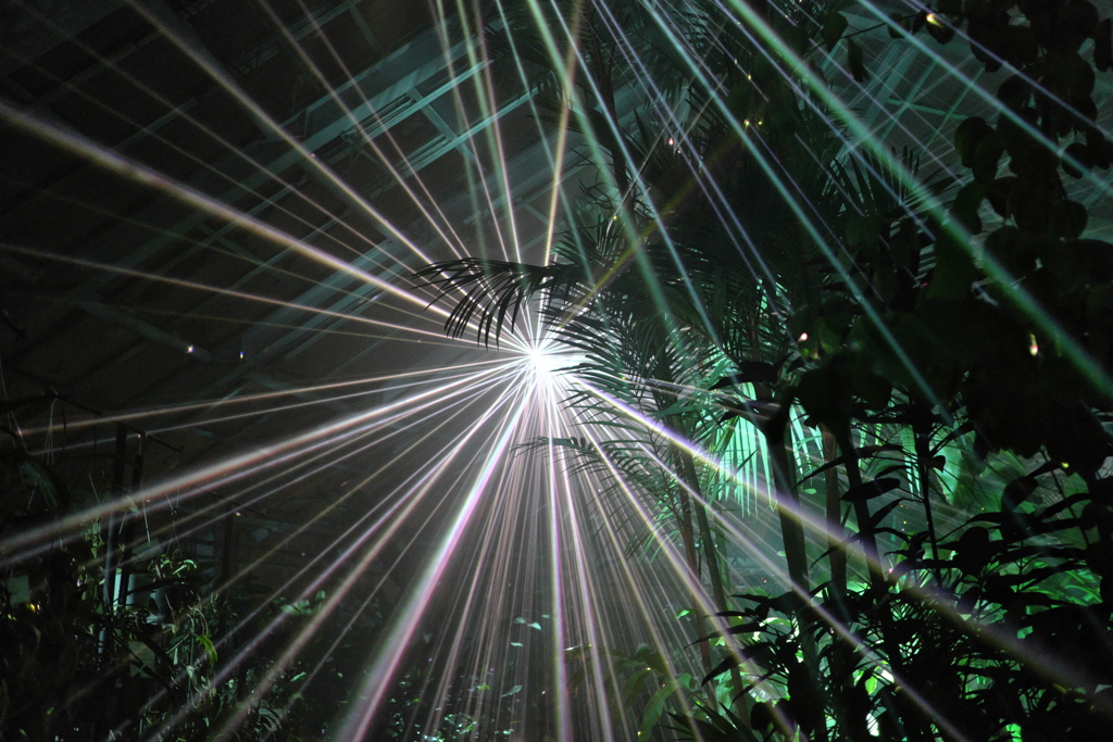LIGHT CYCLES KYOTO