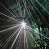 LIGHT CYCLES KYOTO