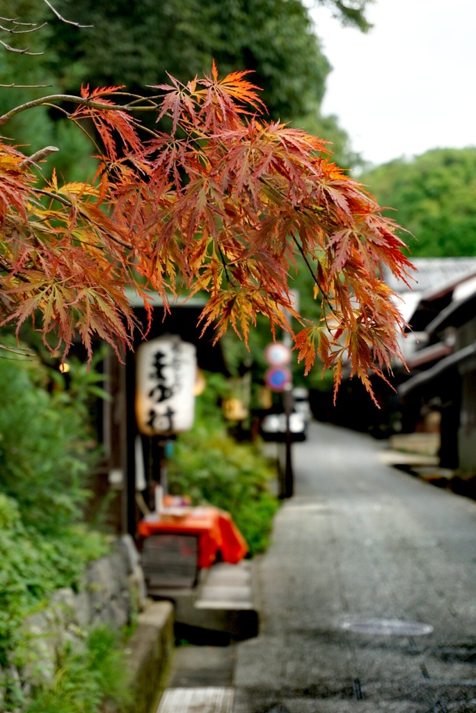 IMG_20170815_嵯峨野