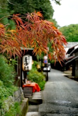 IMG_20170815_嵯峨野
