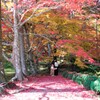 龍穏寺　紅葉