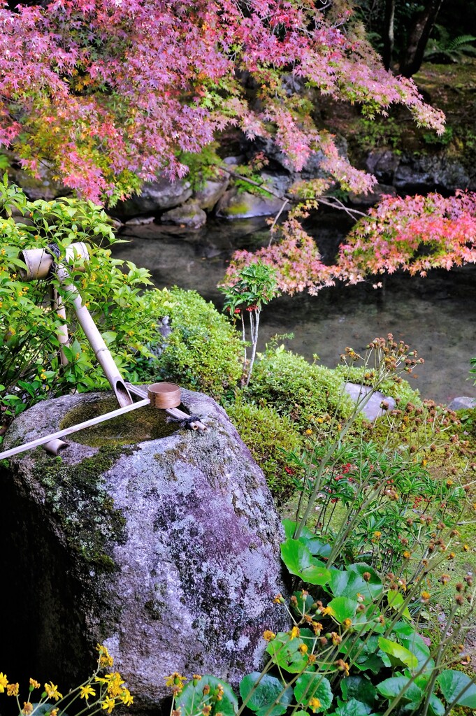 蓮華寺