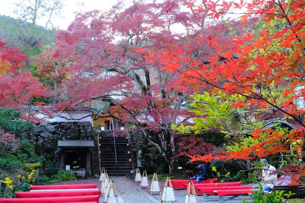 神蔵寺　紅葉