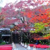 神蔵寺　紅葉