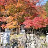 西光寺　紅葉