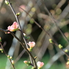 植物園にて