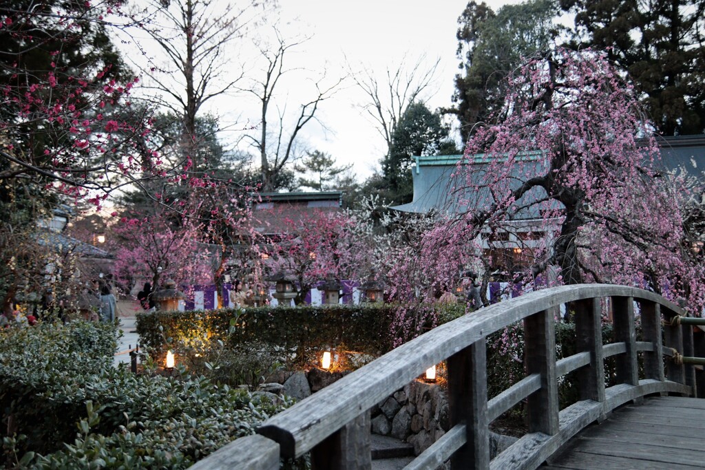 京都　北野天満宮