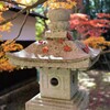 西光寺　紅葉
