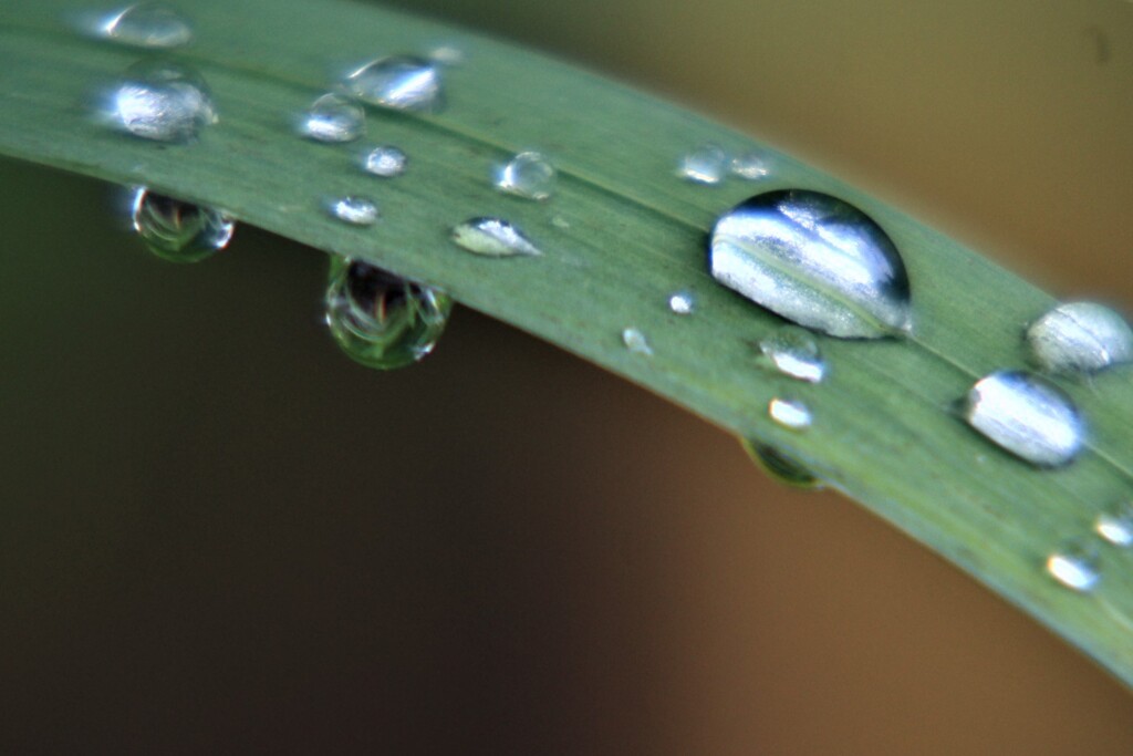 雨上がり