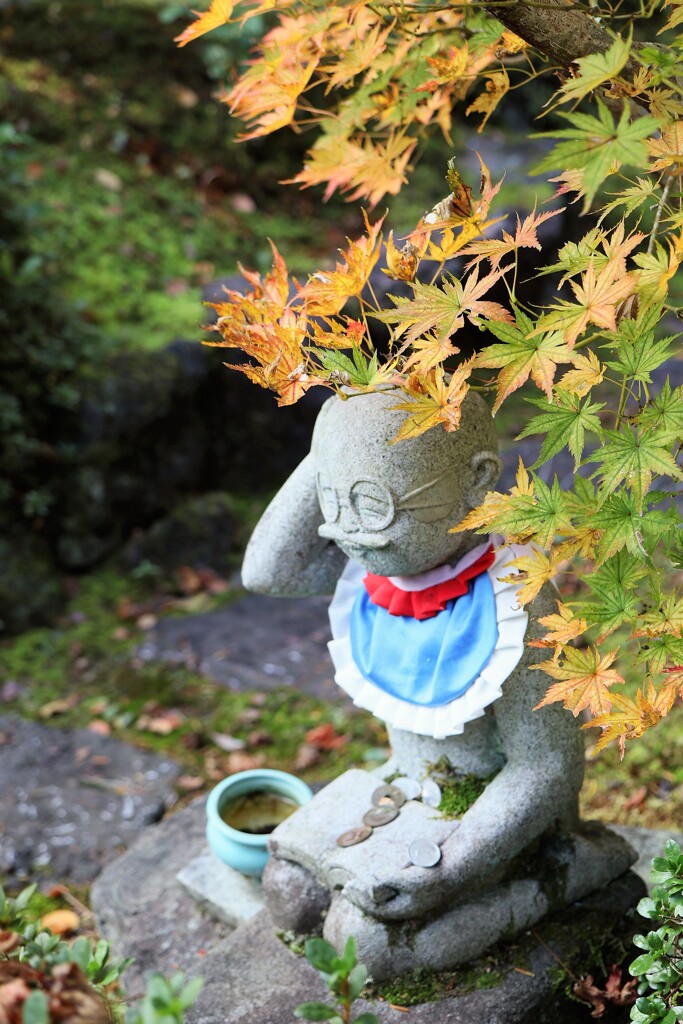 苗秀寺　紅葉