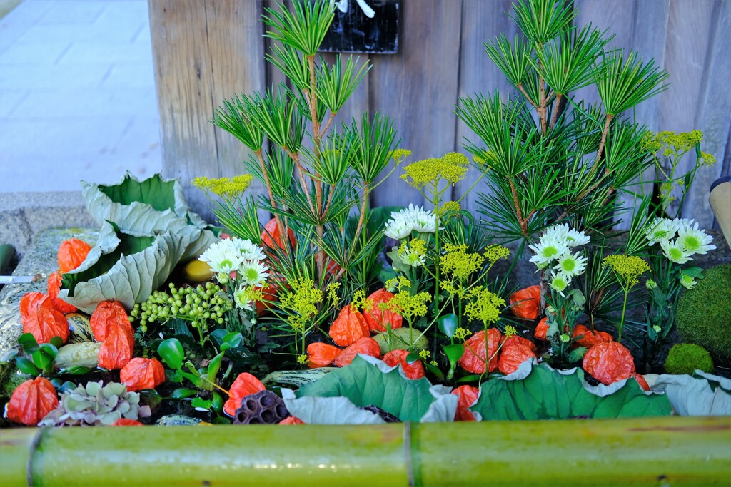 北野万灯会　花手水