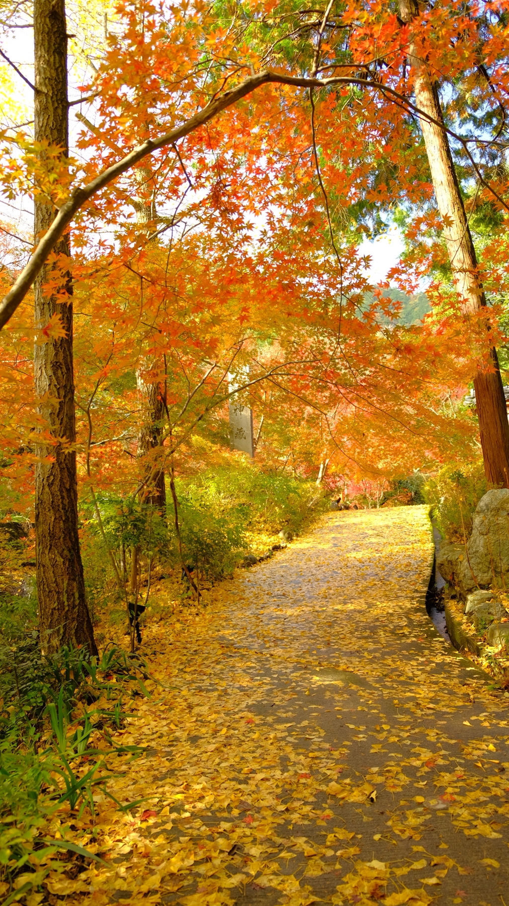 2017_1111_神蔵寺