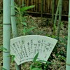 破竹