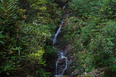 油山のちっこい滝