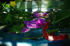 浮かぶ花びら