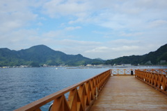 島からの景色。