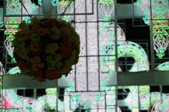 昼の花、夜の花