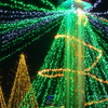 まるでクリスマスツリーのような。