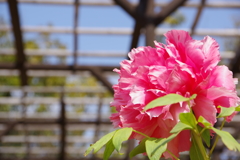 春はもう、すぐそこに。