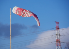 屋根より高い