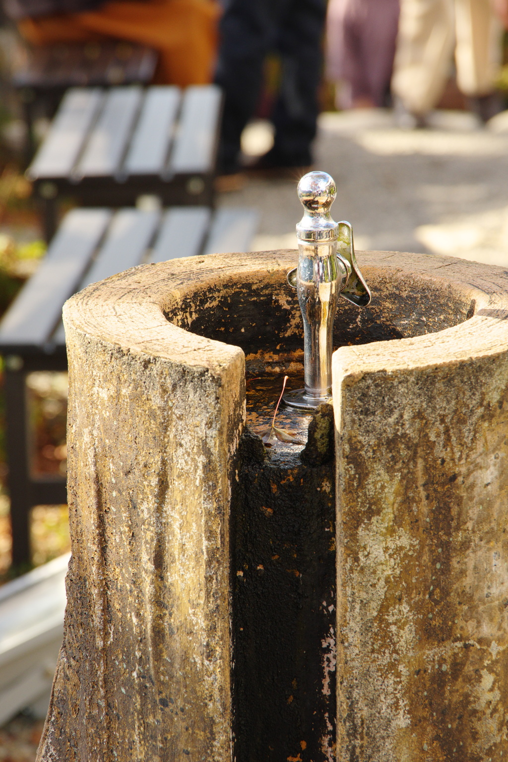 水飲み場