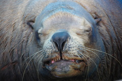 zZZ…