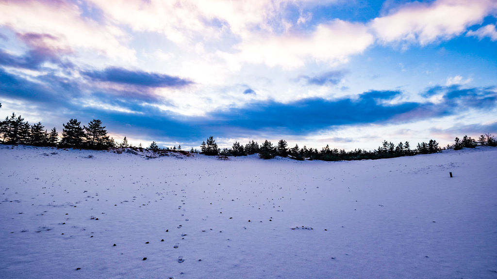 雪景色　鳥取砂丘