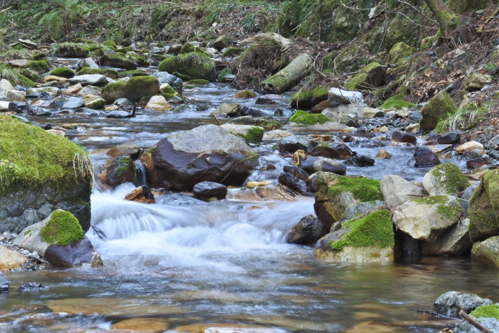 川 初撮り