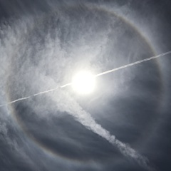 IMG_2534 IMG_2534