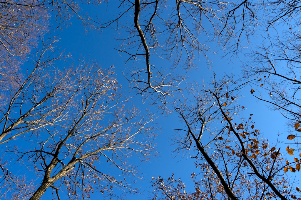 空