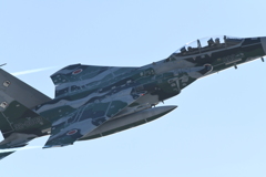 千歳基地アグレッサー5