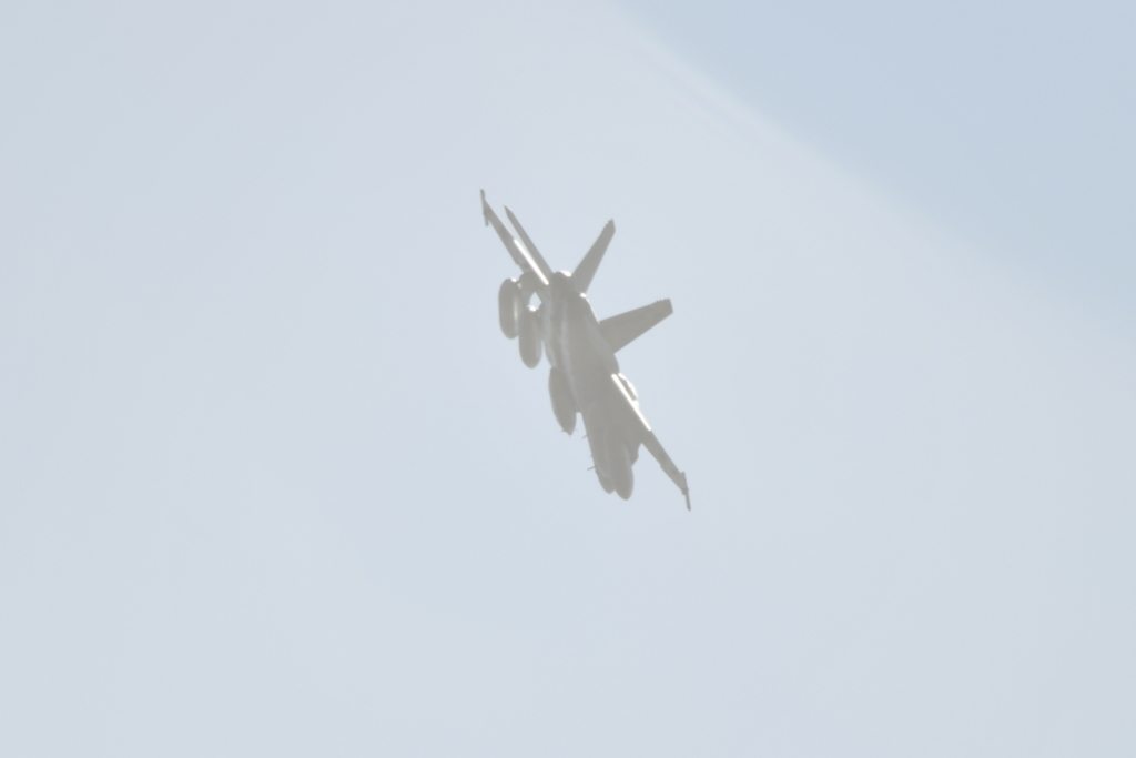 DSC_4785