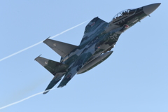 千歳基地アグレッサー6
