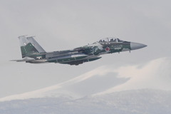 千歳基地アグレッサー1