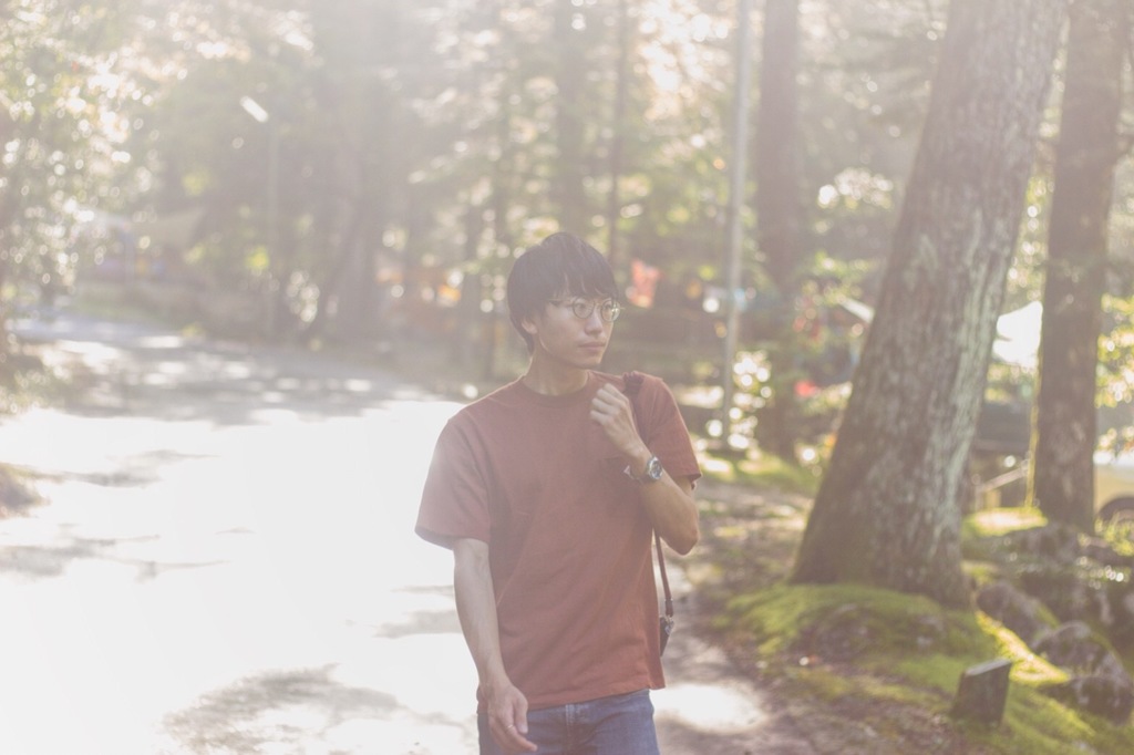 Bright Forest