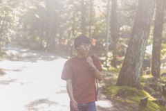 Bright Forest
