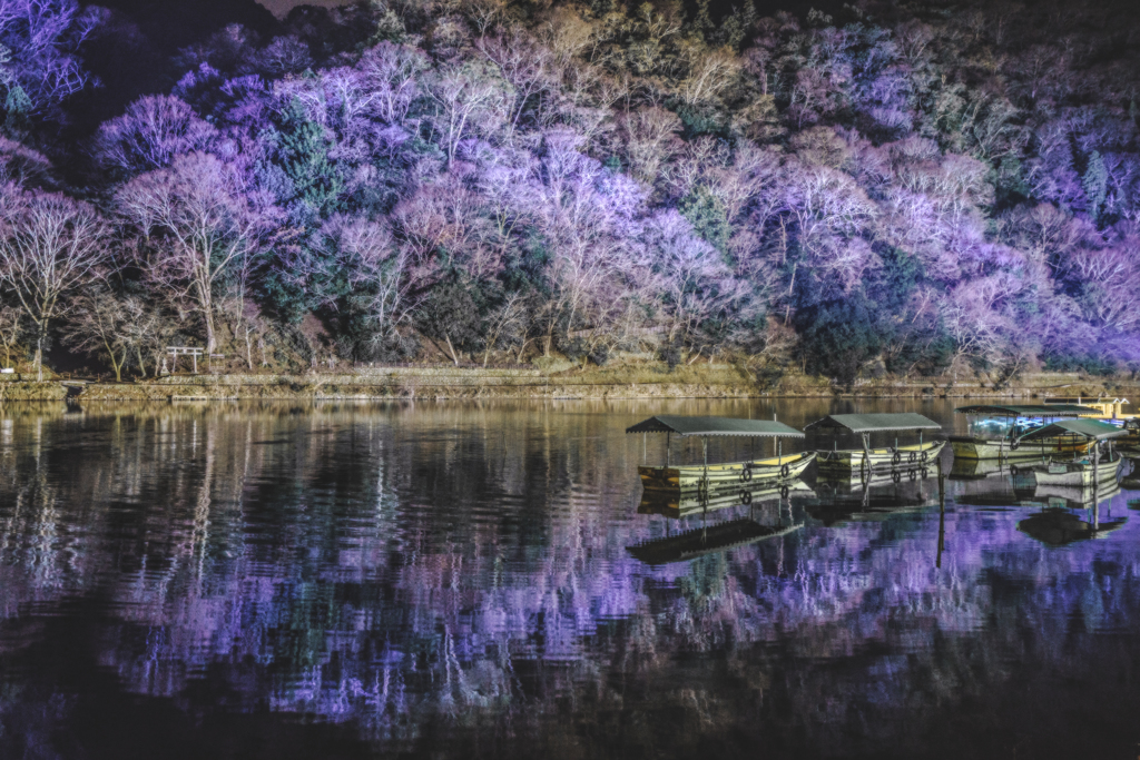 purple reflection